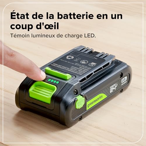 Batterie haute performance POWERALL 24V GREENWORKS 2.0Ah USB C PA200 - vue 6