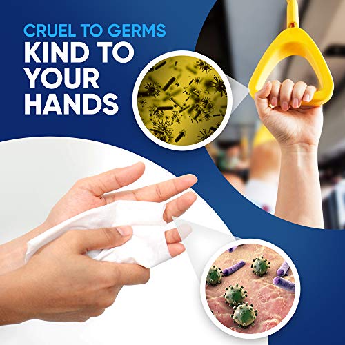 Vish Hand Sanitizing Wipes, kills 99.9% of germs with Aloe Vera, hand sanitizer Cleansing Wipes (25 Count (Pack of 9)) Clean Refreshing Scent & Moisturizing, Perfect for Travel and On The Go - Premium