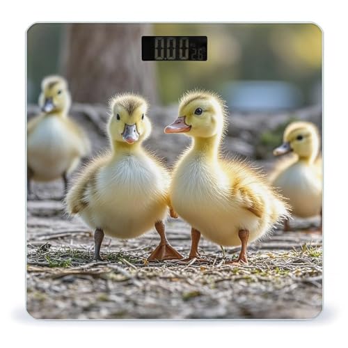 Báscula Digital Cute Ducks de Vidrio Templado para Baño miniatura 1