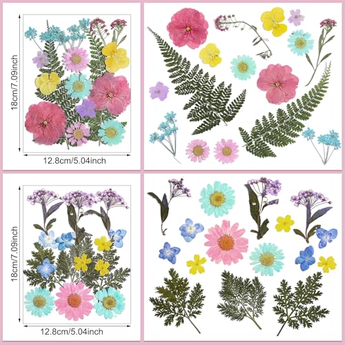 Nuanchu Pastel Dried Flower for Crafts Resin Pressed Flowers Bulk Real Dried Wildflowers Leave Natural with Tweezer for Scrapbooking Nail Soap Candle Cake Card Making DIY Christmas Craft Supplies by Nuanchu - Image 3