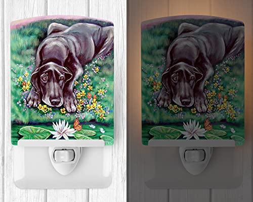Caroline's Treasures 7235CNL Blue Great Dane Ceramic Night Light Compact, UL-Certified, Ideal for Bedroom, Bathroom, Nursery, Hallway, Kitchen, 6x4x3, Multicolor by Caroline's Treasures - Used condition - Image 2