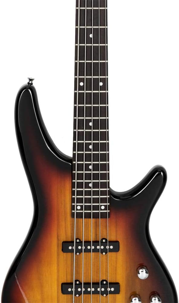 Lykos Exquisite Stylish GIB Electric 5 String Bass Guitar Full Size Bag Strap Pick Connector Wrench Tool (Sunset)