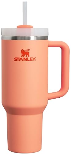 STANLEY Quencher H2.0 Vaso Térmico con Asa y Pajita 40 oz |...