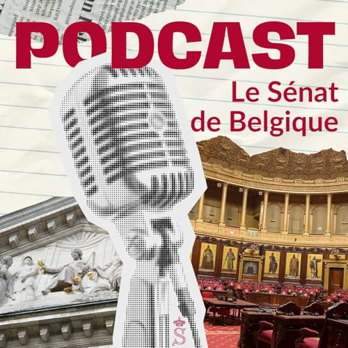 Vous avez dit &ldquo;S&eacute;nat de Belgique&rdquo; ? cover art