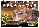 奄美の道で生きものみーつけた