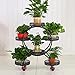 HIMM Stand de Fleurs de Sol, Stand de Plantes Multicouche en Fer forgé intérieur, Succulent ménagère/Radis Vert/Organisateur de Pot de Fleurs (Color : B)