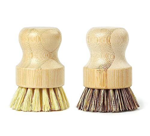 Jungle Culture Plant Based Bamboo Palm Brush Set of 2 • Kitchen Cleaning Scrubbing Brushes for Washing Dishes, Pots, Pans & Sink • Zero Waste Firm & Soft Bristle Eco Scrubbers