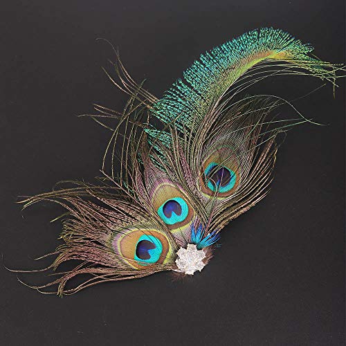 Aimimier 1920S Flapper Peacock Feather Hair Clip Great Gatsby Headpiece Prom Party Festival Roaring 20S Accessories For Women And Girls #TOP3