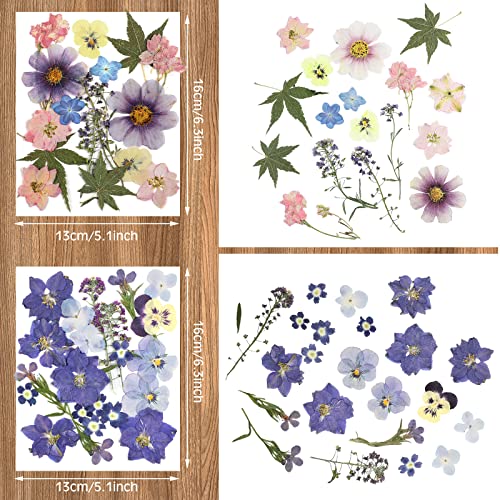 image for Nuanchu Pressed Flowers Resin Flowers for Resin Mold, Real Daisy Dried