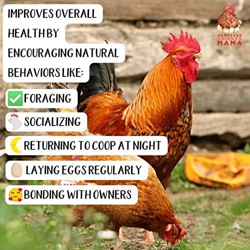 Brewer\'s Yeast with Organic Oregano & Garlic (8 Pounds) | Niacin for Ducks & Chickens | Chicken Probiotic | Brewers Yeast for Ducks with Vitamins & Amino Acids | Pampered Chicken Mama (8 Pounds) - Thumbnail 5