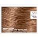 L'Oreal Paris ExcellenceAge Perfect Layered Tone Flattering Color, 5CB Medium Chestnut Brown