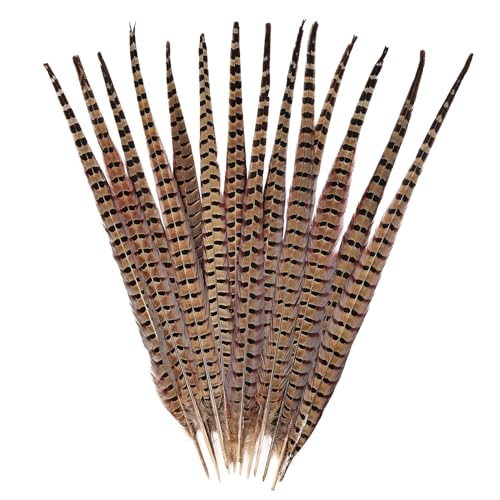 FeelfunFeather 5pcs Pheasant Feather 20-22inch 50-55cm Natural Male Ringneck Tails Feathers for DIY Crafts Home Wedding Party Carnival Decoration