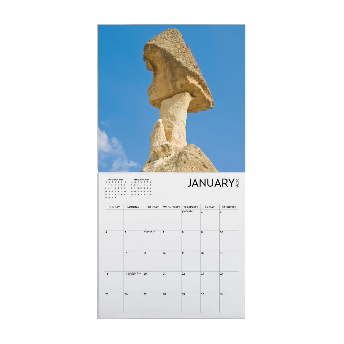 Condition photo showing New/Like New for Nature's Dicks Calendar 2026, White Elephant Gift, Funny Calendar, Joke Present, of Nature Wall Calendar