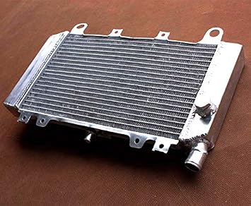 For Kawasaki 1993-2001 Ninja ZX6 ZX600E / 2002-2006 ZZR600 / 1993 1994 ZZR500 39060-1115 Aluminum Radiator 1993 1994 1995 1996 1997 1998 1999 2000 2001 2002 2003 2004 2005 2006