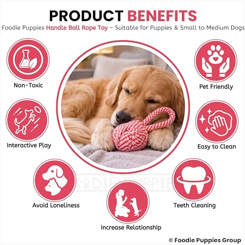 Image of Foodie Puppies Durable Cotton Rope Chew Toy for Dogs | Chewing, Fetching, Playing, Teething & Training for Small to Medium Dogs & Puppies (Color May Vary)