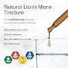 BIO KRAUTER Lions Mane for Focus Support & Brain Health - Vegan Lion's Mane Mushroom Supplement, Natural Clarity & Immune Support - 2 Fl.Oz., 28-Day Supply, Alcohol & Sugar Free