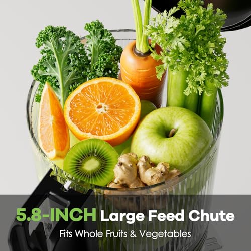 Cold Press Juicer Features Overview
