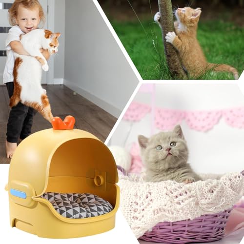 Maison pour chats - Abri imperméable amovible pour chaton