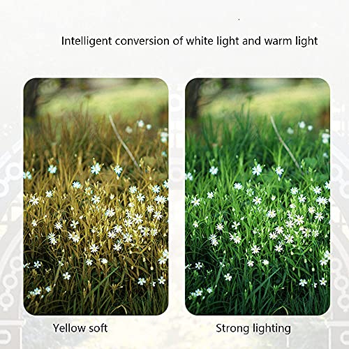 Lampe solaire à colonne étanche IP54 avec diffuseur acrylique pour éclairage extérieur fixe