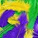 Touch of Nature Turkey Flat Feathers for Arts and Crafts, Mardi Gras Mix