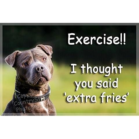 Staffordshire Bull Terrier Blue Grey Staffy Funny Fridge Magnet Gift Cover