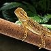 MUYG Natural Climbing Pet Cork Stick Natural Tree Frog Cork Wood Stick Branch Reptiles Climbing Branches Reptiles Use Cork Branches Climb Branches for Frogs, Snakes,Lizards, Bearded Dragons
