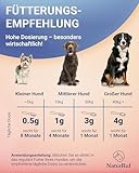 NaturRuf Gelenkpulver- Komplex für Hunde mit Grünlippmuschel, MSM, Glucosamin - Unterstützung der Mobilität & Gelenkfunktions - Alternative zu Gelenktabletten - Hohe Akzeptanz