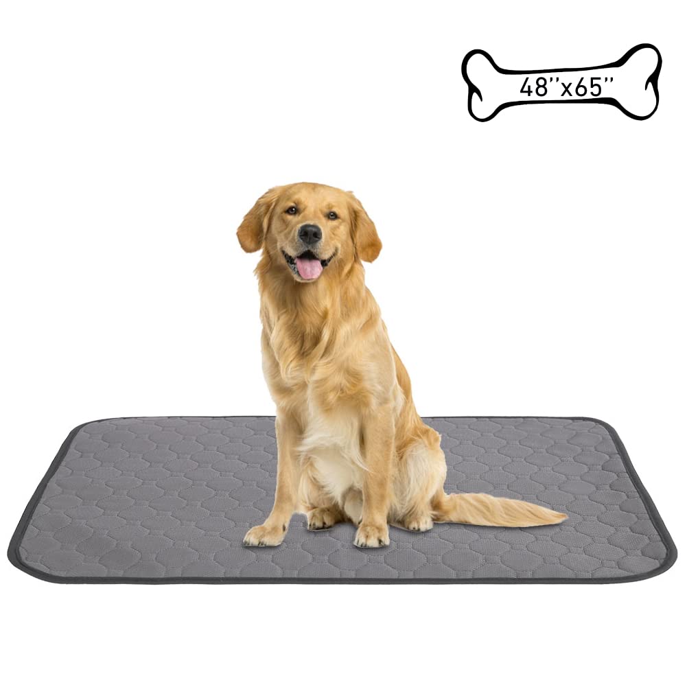 X-TECOKIT Washable Waterproof Pee Pad for Dogs 65" x 48" ,Reusable Pet Trainning Pads,Heavy Absorbency Whelping Mats ,Puppy Potty Pads,for Playpen ,Crate,Sofa,Bed,Travel (65" x 48")