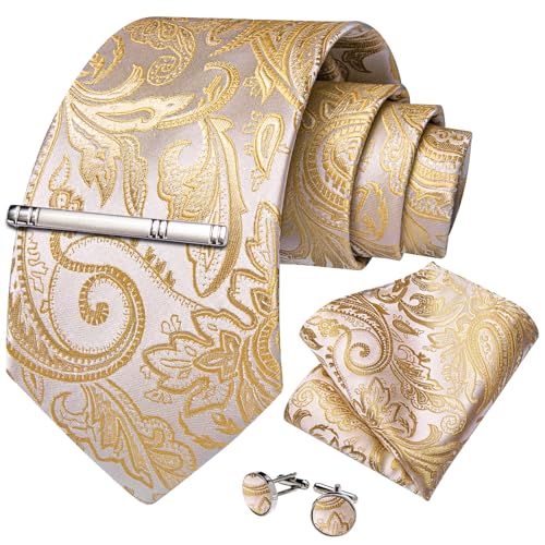 Image of DiBanGu Silk Floral Ties for Men Woven Paisley Necktie and Tie Clip Handkerchief Cufflinks Set for Party Wedding