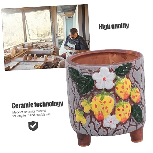 Pot de fleurs céramique pour décoration de maison moderne