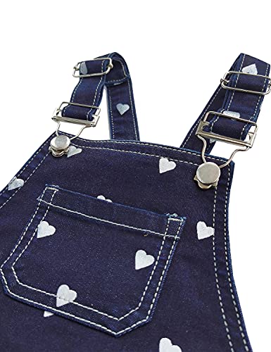 Image of KIDSCOOL SPACE Baby Little Girls Fox Flowers Embroidered Lace Denim Overall Dress