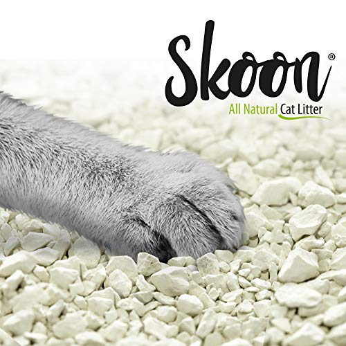 (2 Std Boxes) Skoon All-Natural Medium Disposable Cat Litter Box, Light-Weight, Non-Clumping, Low Maintenance & Eco-Friendly. Absorbs & Seals In Liquids For Best Odor Control. For Small Breed Cats #TOP1
