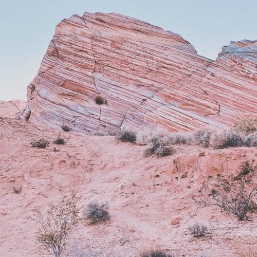 Lara Somogyi & Cyrus Reynolds