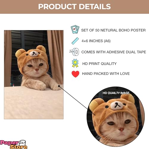 Image of Paper9store Pack of 50 Aesthetic Wall Collage Kit - 4?6 Inches Self Adhesive Wall Posters for Bedroom, Living Room, Office A6 Size (Boho netural)