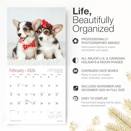 Image of RED EMBER Corgi Puppies 2026 Wall Calendar 12 Month | 12 inch x 24 inch Open | Thick & Sturdy Paper | Giftable | Cute Puppy Dog Calendar 2026