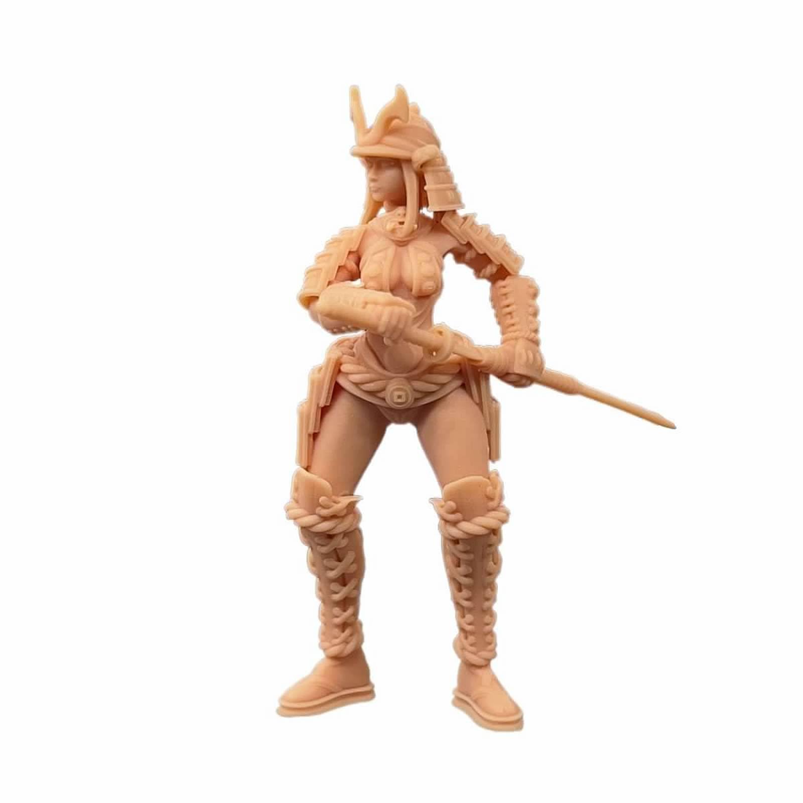 Amazon.co.jp: ZEDACAKAI (5個) 1/72 フィギュア 女性 侍 戦士モデル