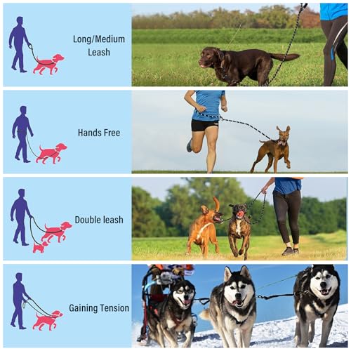 Unverschämt robuste Hundeleine für große und mittelgroße Hunde (15-60 kg) - 3m Verstellbare Doppelleine & Freihandleine aus Nylon mit Reflektierend Tragfähigkeit bis zu 200 kg