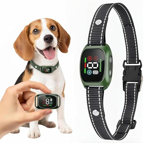 Collier pour chien de qualité Barkey vert confortable et haute résistance