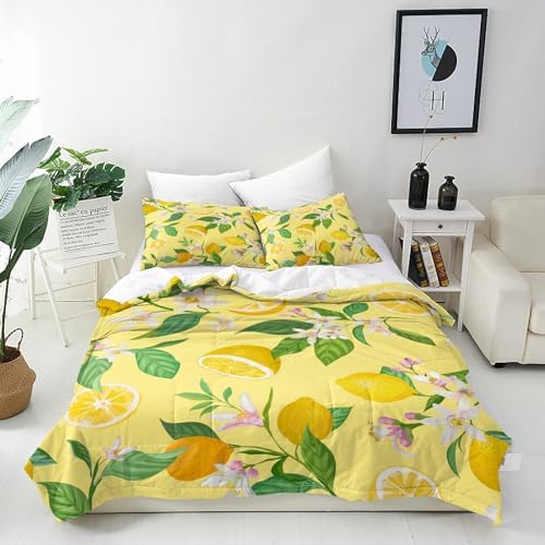 ANHOPE Dinosaur Duvet Cover Set Soft 3 Piece Bedding Set with Jurassic Wild Animal Dino Print Pattern Comforter Cover Set with Pillowcase All Season Quilt Cover with Zipper for Kids Boys Girls Single
