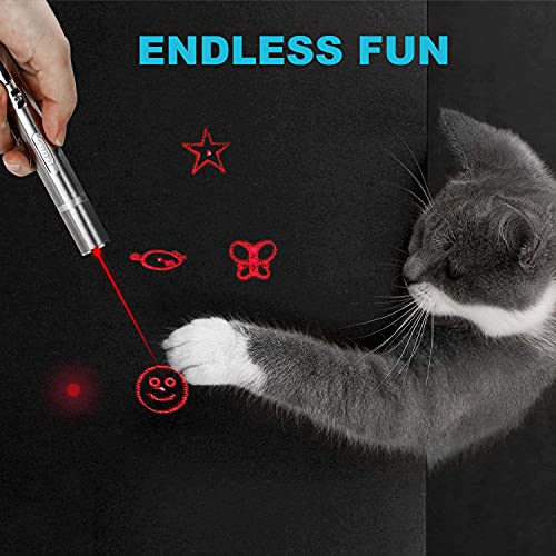 Interactive Cat Dog Toy and Mini UV Flashlight Black Light Rechargeable,2 in 1 Function,365 nM Ultraviolet Blacklight Detector for Pet Stains and Bed Bug, Pet Home Essentials