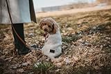 Hunter Hundepullover GENF, Farbe: beige, Strickpullover für kalte Tage, weich, anschmiegsam, recyceltes Polyester, waschbar, umgschlagbarer Halskragen, hohe Elastizität, Größe: 25