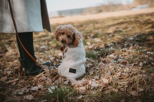 Hunter Hundepullover GENF, Farbe: beige, Strickpullover für kalte Tage, weich, anschmiegsam, recyceltes Polyester, waschbar, umgschlagbarer Halskragen, hohe Elastizität, Größe: 25