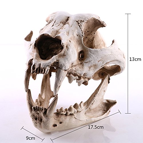 pièce réaliste crâne d'animal sauvage squelette os résine ornement