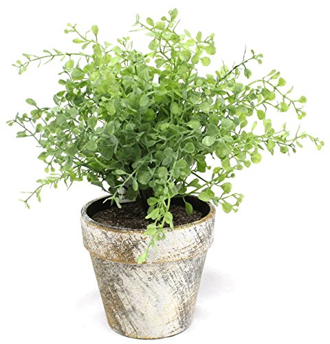 Silk Road Home Light Green Boxwood 10 Inch Artificial Topiary Plant in Faux Stone Pot