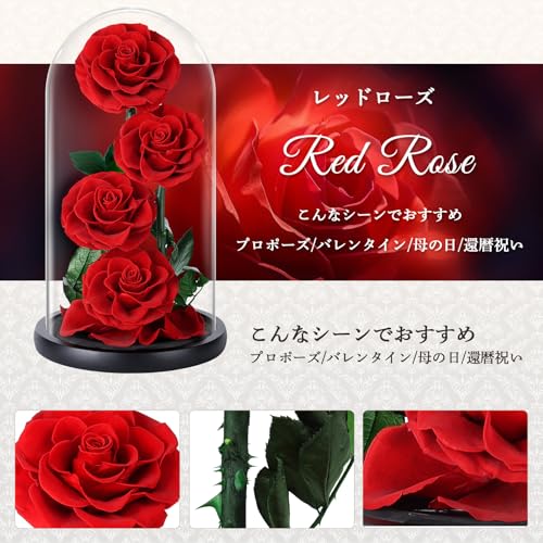 プリザーブドフラワー 赤色 4輪 枯れない本物の薔薇 バラのガラスドーム 誕生日プレゼント お祝い 記念日 女性 人気 お花 プレゼント [3]
