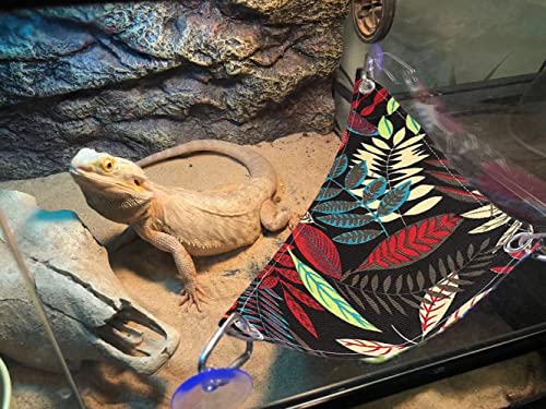 New Lizard Leash and Bearded Dragon Wings, Reptile Hammock, Bearded Dragon Hat & Bowtie and Lizard Skateboard Suitable… - Image 7