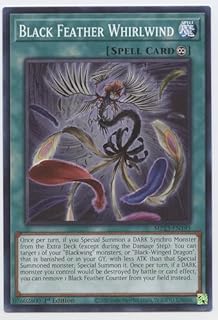 Black Feather Whirlwind - MP23-EN195 - Common - 1st Edition