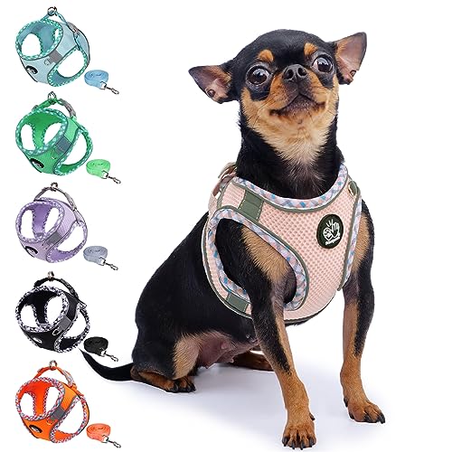 Frienperro Breathable Dog Harness With Leash Set For Small Dog, Dog Harness For Medium Dogs No Pull, Adjustable Reflective Dog Harness, Summer Dog Harnesses For Puppy Small Dogs, Cat Harness Set #TOP13