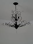 Review Image by enigma enigma