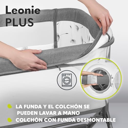 Miniatura 6 de 